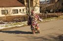 05_studie-letu-ptaka